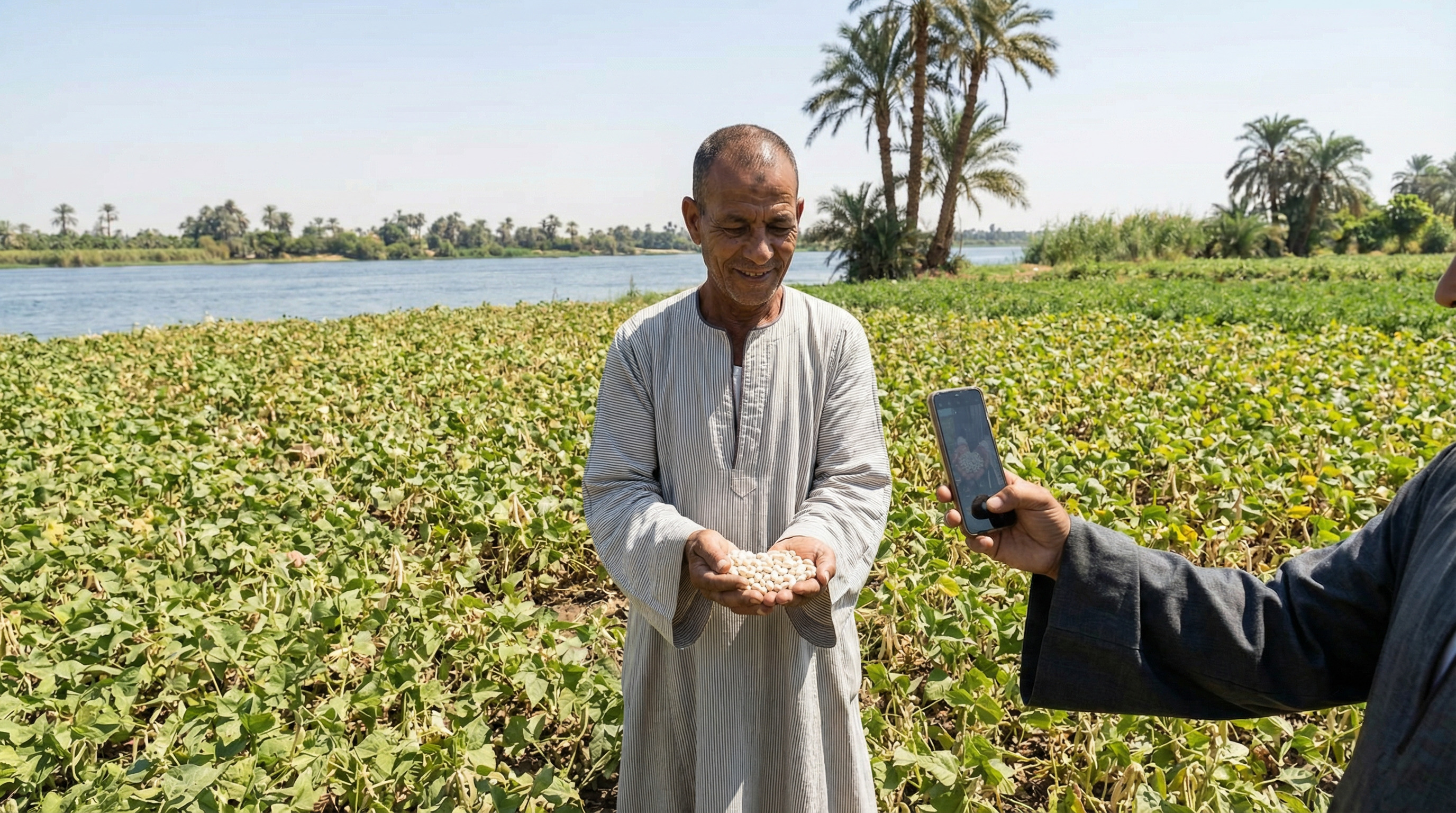 Computer Aided Vision