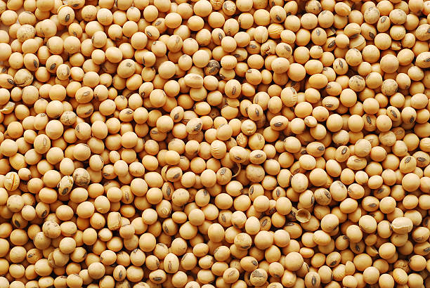 Soybeans