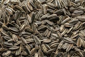 Sunflower Seeds