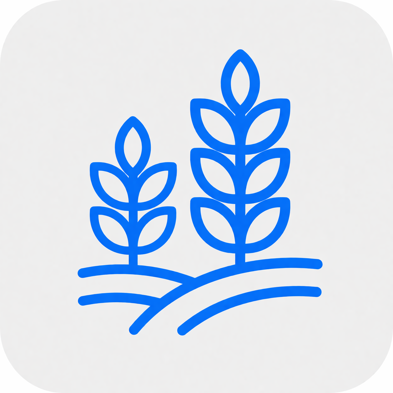 Step icon